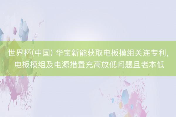 世界杯(中国) 华宝新能获取电板模组关连专利， 电板模组及电源措置充高放低问题且老本低