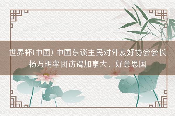世界杯(中国) 中国东谈主民对外友好协会会长杨万明率团访谒加拿大、好意思国