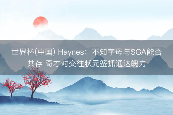 世界杯(中国) Haynes：不知字母与SGA能否共存 奇才对交往状元签抓通达魄力
