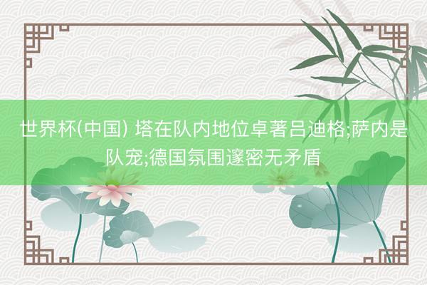 世界杯(中国) 塔在队内地位卓著吕迪格;萨内是队宠;德国氛围邃密无矛盾