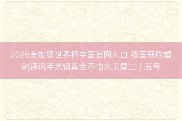 2026美加墨世界杯中国官网入口 我国获胜辐射通讯手艺锻真金不怕火卫星二十五号