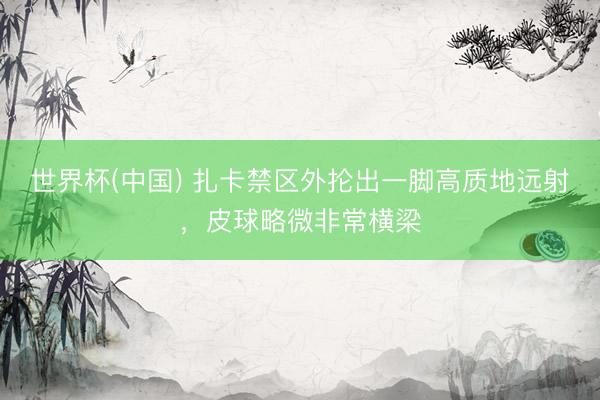 世界杯(中国) 扎卡禁区外抡出一脚高质地远射，皮球略微非常横梁