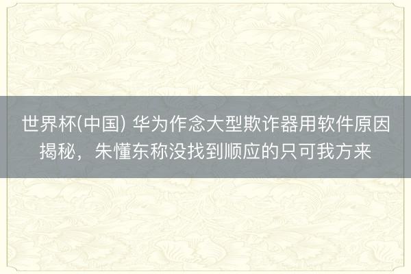世界杯(中国) 华为作念大型欺诈器用软件原因揭秘，朱懂东称没找到顺应的只可我方来