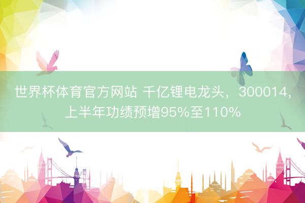 世界杯体育官方网站 千亿锂电龙头，300014，上半年功绩预增95%至110%