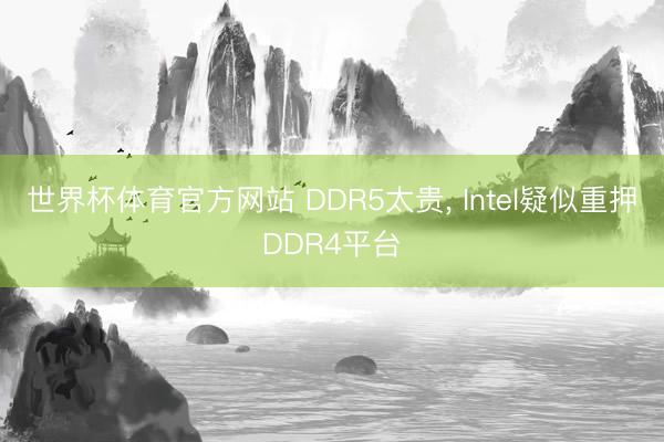 世界杯体育官方网站 DDR5太贵， Intel疑似重押DDR4平台