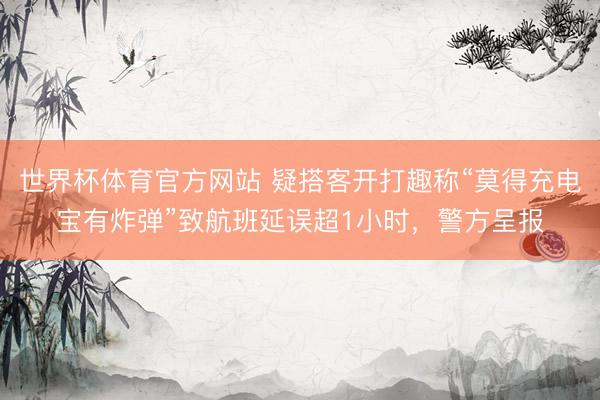 世界杯体育官方网站 疑搭客开打趣称“莫得充电宝有炸弹”致航班延误超1小时，警方呈报
